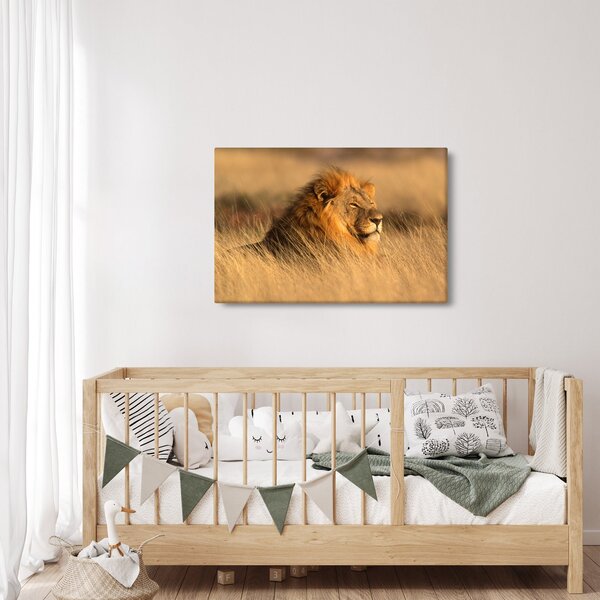 Kép - Etosha Nemzeti Park (90x60 cm)