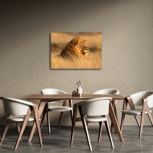 Kép - Etosha Nemzeti Park (70x50 cm)