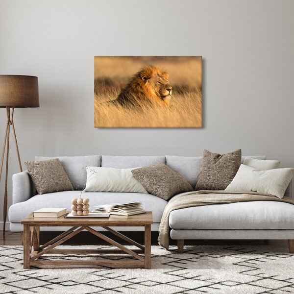 Kép - Etosha Nemzeti Park (90x60 cm)