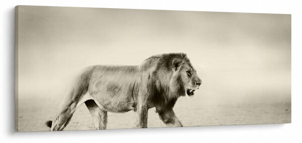 Kép - Az éhes oroszlán (120x50 cm)