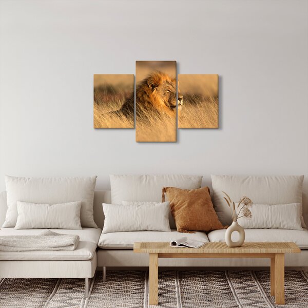 Kép - Etosha Nemzeti Park (90x60 cm)