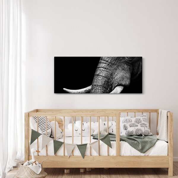 Kép - Elefánt agyar (120x50 cm)