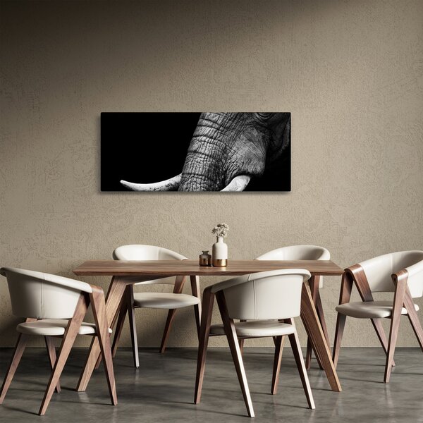 Kép - Elefánt agyar (120x50 cm)