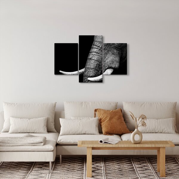 Kép - Elefánt agyar (90x60 cm)
