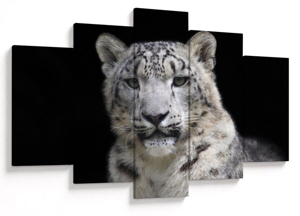 Kép - Snow Leopard (150x105 cm)