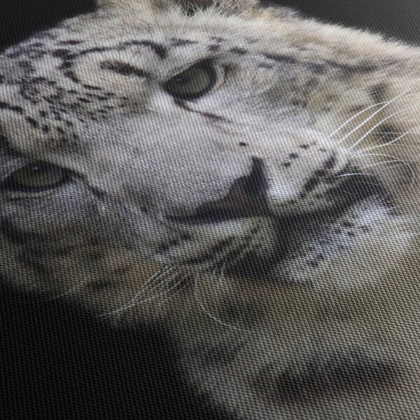 Kép - Snow Leopard (150x105 cm)