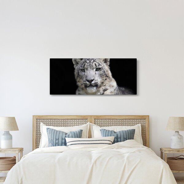 Kép - Snow Leopard (120x50 cm)