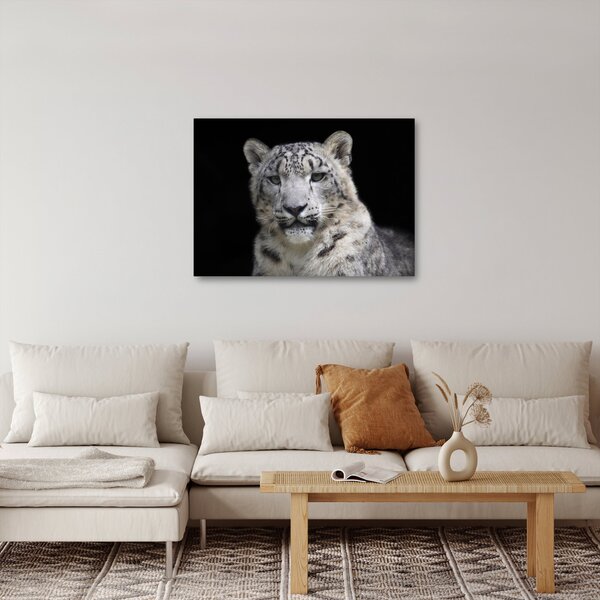 Kép - Snow Leopard (70x50 cm)