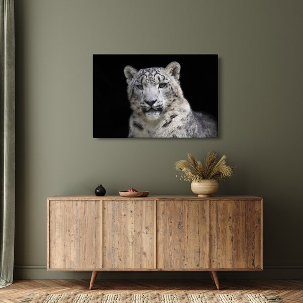 Kép - Snow Leopard (90x60 cm)