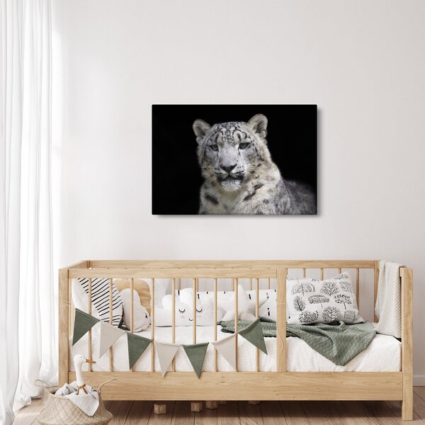 Kép - Snow Leopard (90x60 cm)
