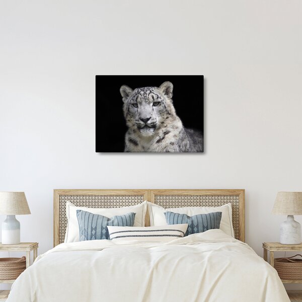 Kép - Snow Leopard (70x50 cm)