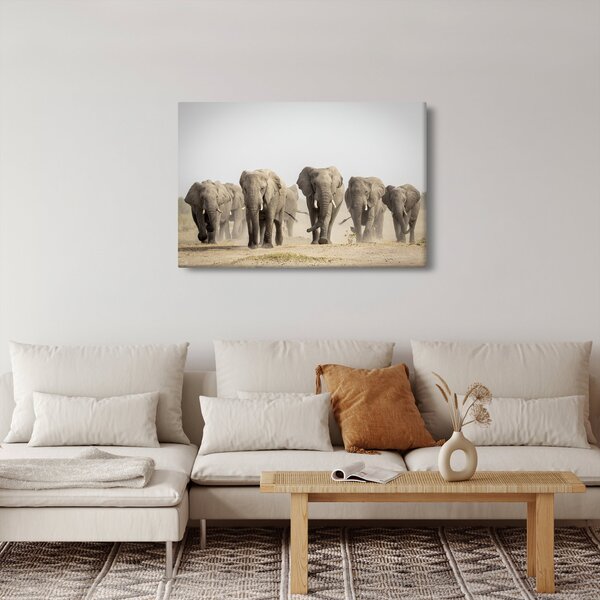 Kép - Elefántcsorda (90x60 cm)