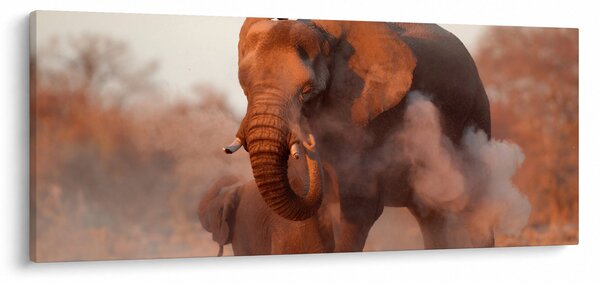 Kép - Nagy afrikai elefánt (120x50 cm)