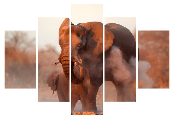 Kép - Nagy afrikai elefánt (150x105 cm)