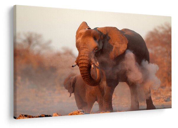 Kép - Nagy afrikai elefánt (90x60 cm)