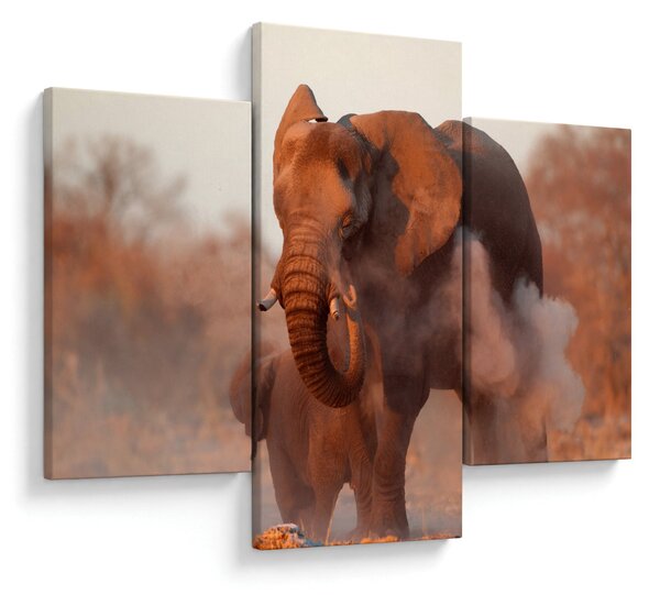 Kép - Nagy afrikai elefánt (90x60 cm)