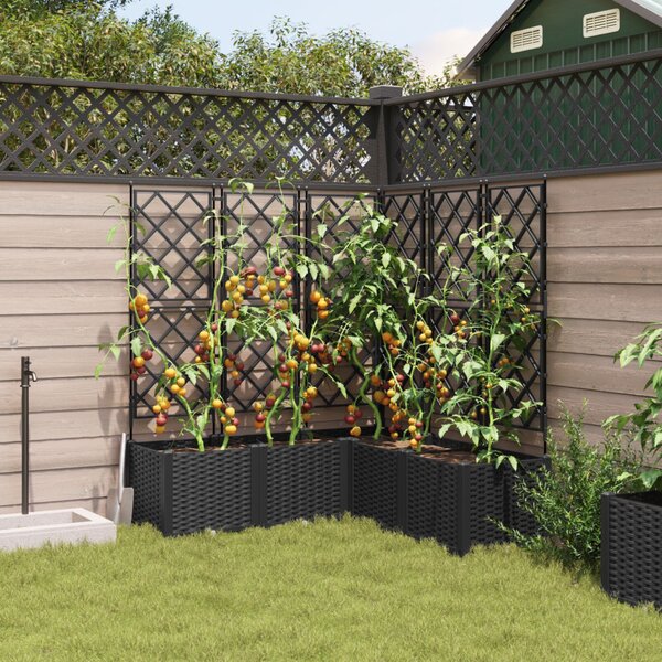 Kerti cserép 5 db Fekete 120 x 120 x 143 cm PP