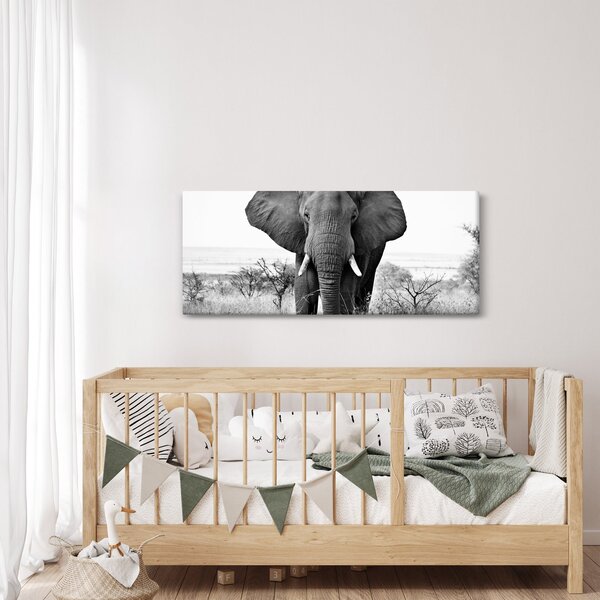 Kép - Afrikai elefánt II. (120x50 cm)