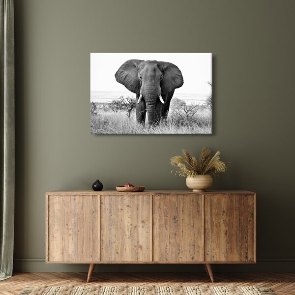Kép - Afrikai elefánt II. (90x60 cm)