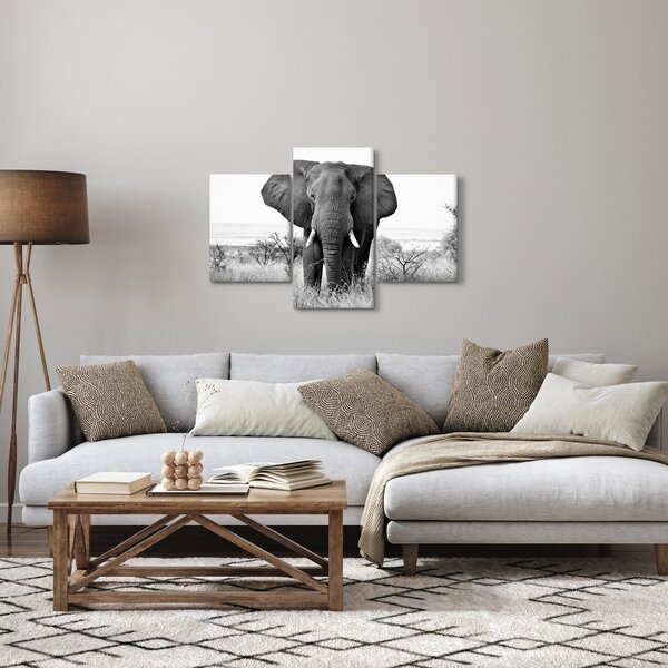 Kép - Afrikai elefánt II. (90x60 cm)