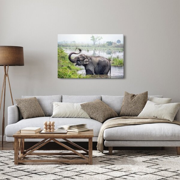 Kép - Fürdőző elefánt (90x60 cm)