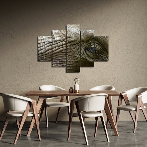 Kép - Közelkép az öreg elefánt szeméről (150x105 cm)