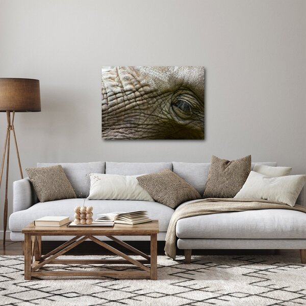 Kép - Közelkép az öreg elefánt szeméről (70x50 cm)
