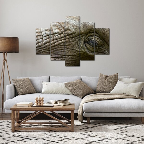 Kép - Közelkép az öreg elefánt szeméről (150x105 cm)