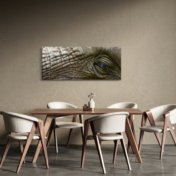 Kép - Közelkép az öreg elefánt szeméről (120x50 cm)