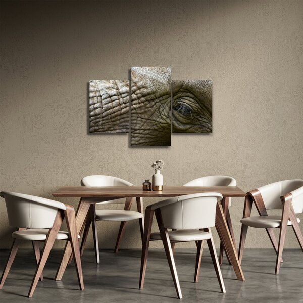Kép - Közelkép az öreg elefánt szeméről (90x60 cm)