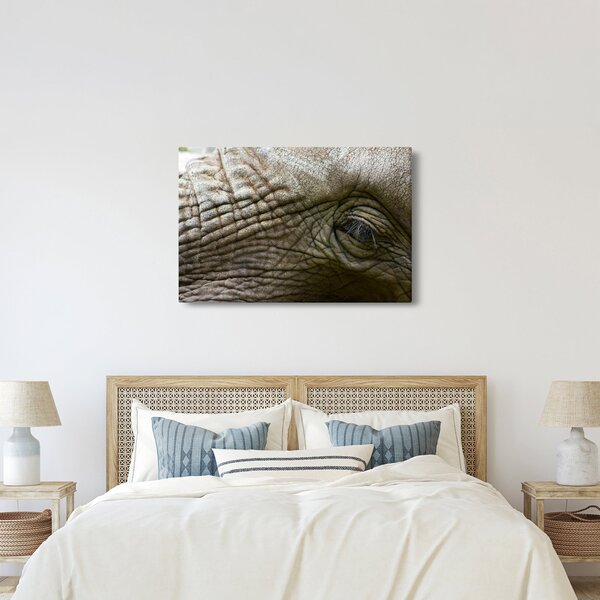 Kép - Közelkép az öreg elefánt szeméről (90x60 cm)