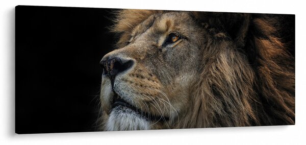 Kép - A fenséges oroszlán (120x50 cm)