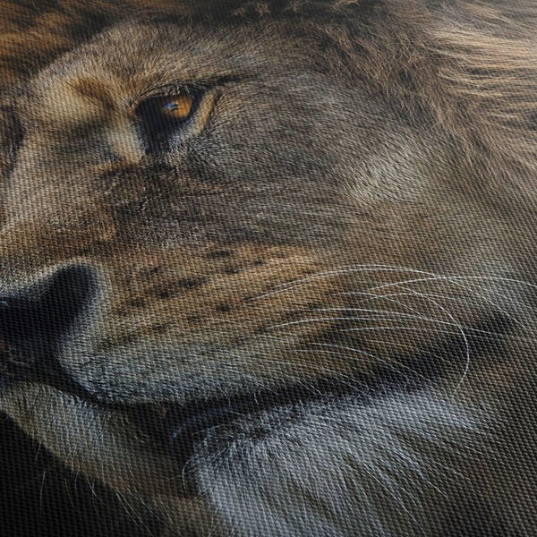 Kép - A fenséges oroszlán (120x50 cm)