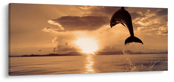 Kép - Delfin naplementében (120x50 cm)