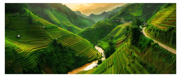 Kép - Mu Cang Chai rizsteraszok (120x50 cm)