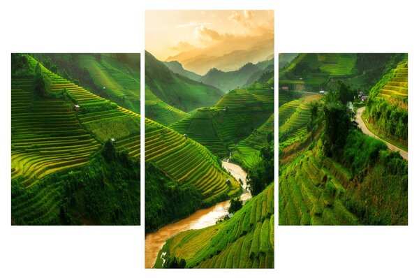 Kép - Mu Cang Chai rizsteraszok (90x60 cm)