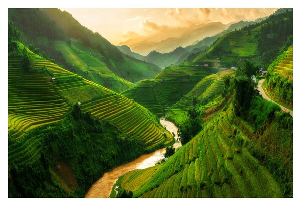 Kép - Mu Cang Chai rizsteraszok (90x60 cm)