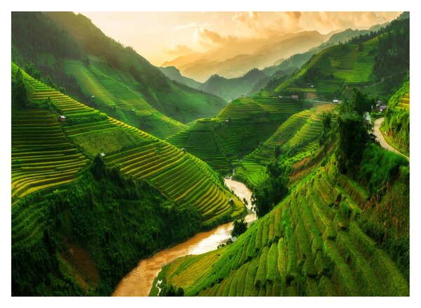 Kép - Mu Cang Chai rizsteraszok (70x50 cm)
