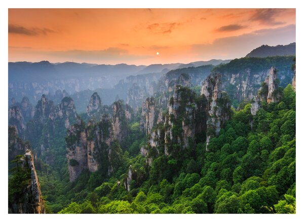 Kép - Zhangjiajie Nemzeti Erdei Park (70x50 cm)