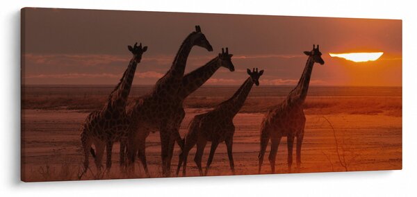 Kép - Zsiráfok az afrikai szavannán (120x50 cm)