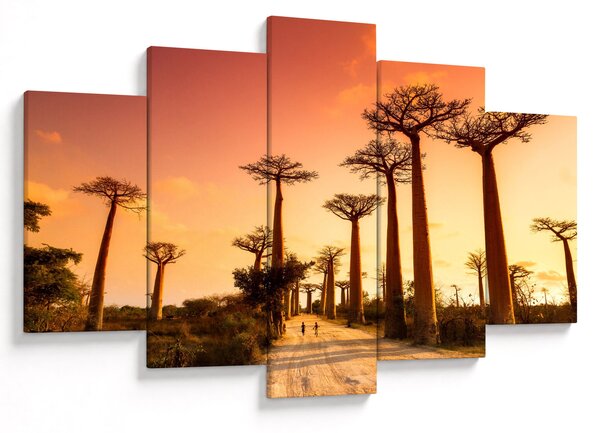 Kép - Naplemente a Baobab Alley-ben (150x105 cm)