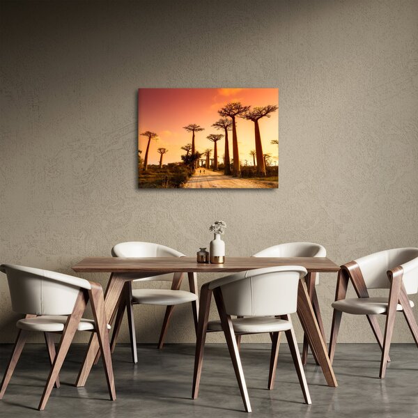 Kép - Naplemente a Baobab Alley-ben (70x50 cm)