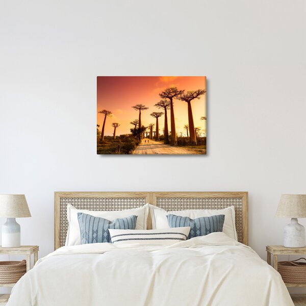 Kép - Naplemente a Baobab Alley-ben (70x50 cm)