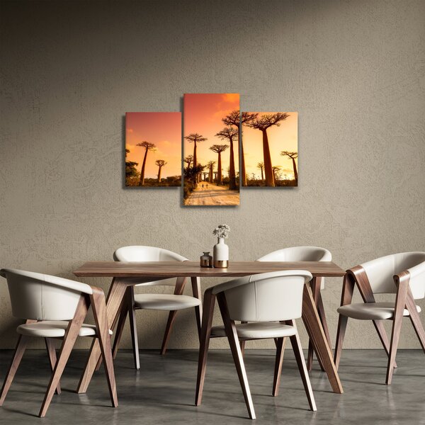Kép - Naplemente a Baobab Alley-ben (90x60 cm)