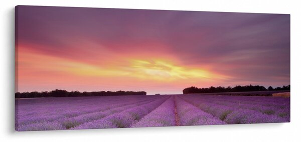 Kép - Levendula mező (120x50 cm)