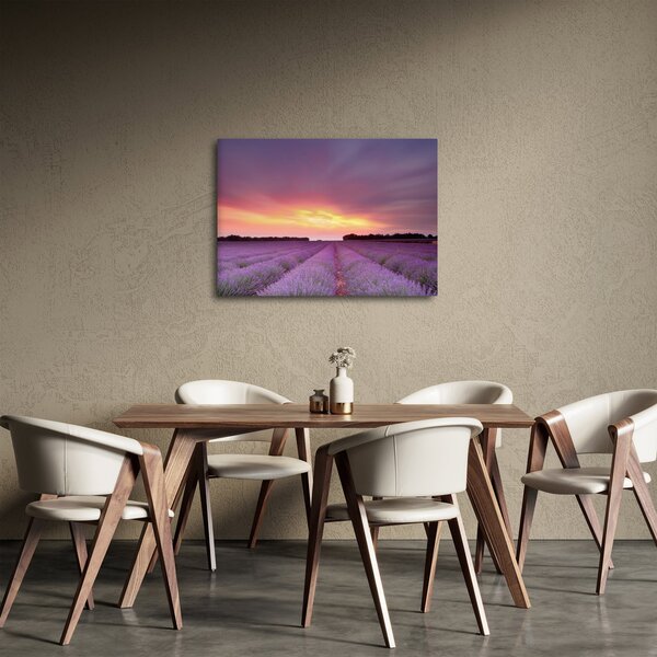 Kép - Levendula mező (70x50 cm)