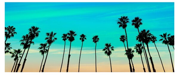Kép - Kalifornia (120x50 cm)