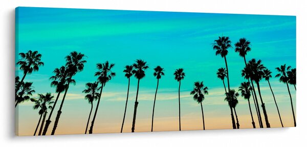 Kép - Kalifornia (120x50 cm)