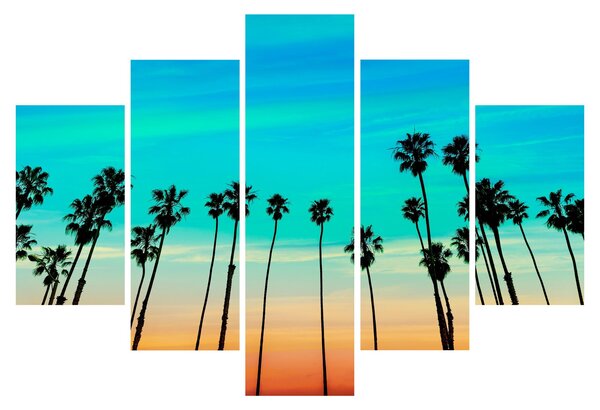 Kép - Kalifornia (150x105 cm)