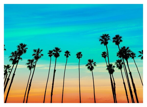 Kép - Kalifornia (70x50 cm)